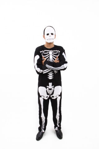 Esqueleto Adulto